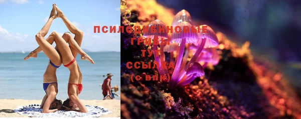 гидра Верхний Тагил