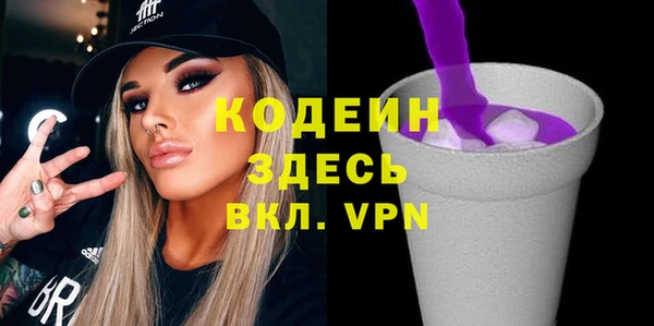 гидра Верхний Тагил