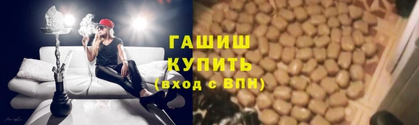 гидра Верхний Тагил