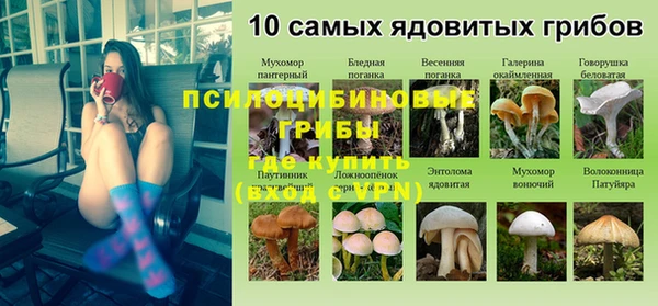 ПСИЛОЦИБИНОВЫЕ ГРИБЫ Володарск